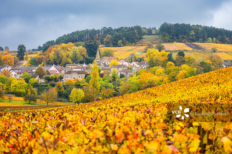 法国勃艮第-弗朗什-孔泰大区勃艮第夏布利风光图片素材