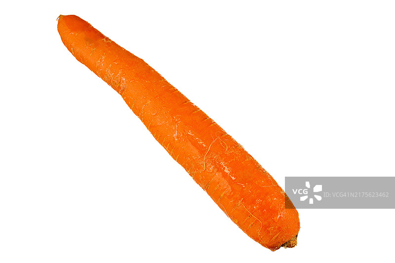 分离的单根生胡萝卜图片素材