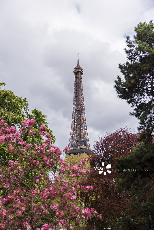 法国巴黎埃菲尔铁塔图片素材