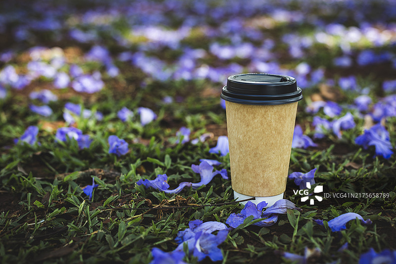 紫色花朵上的一次性杯子特写图片素材