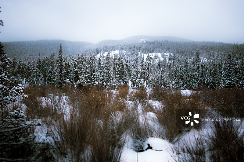 美国科罗拉多州埃斯蒂斯公园雪地风光图片素材