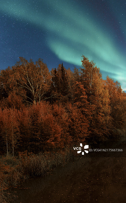 绿色北极光和红色森林秋叶夜间水面漂浮倒影图片素材