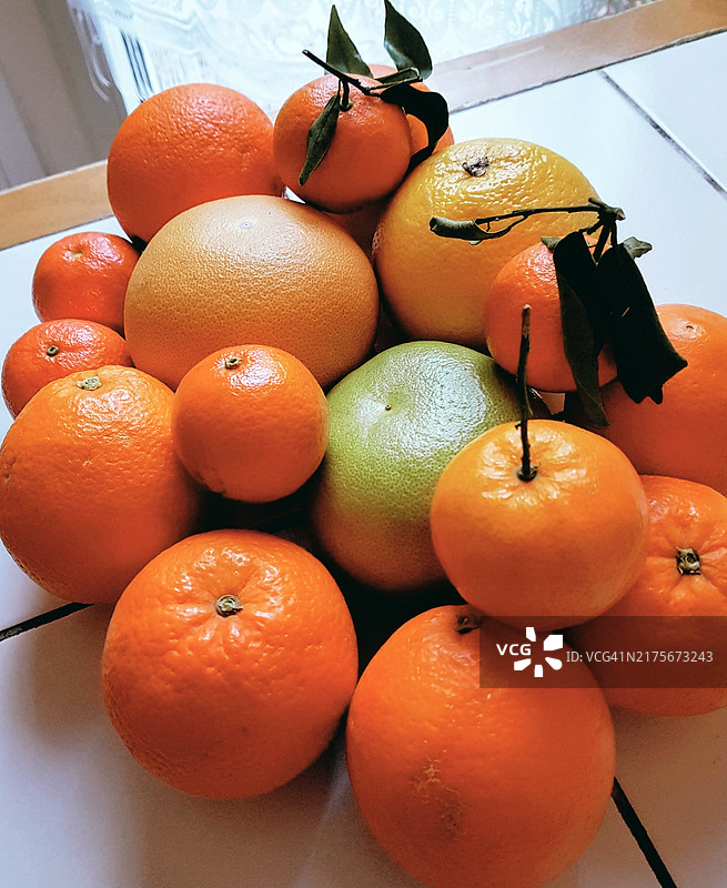 不同的柑橘类水果：橙子、葡萄柚、粉红葡萄柚、橘子图片素材