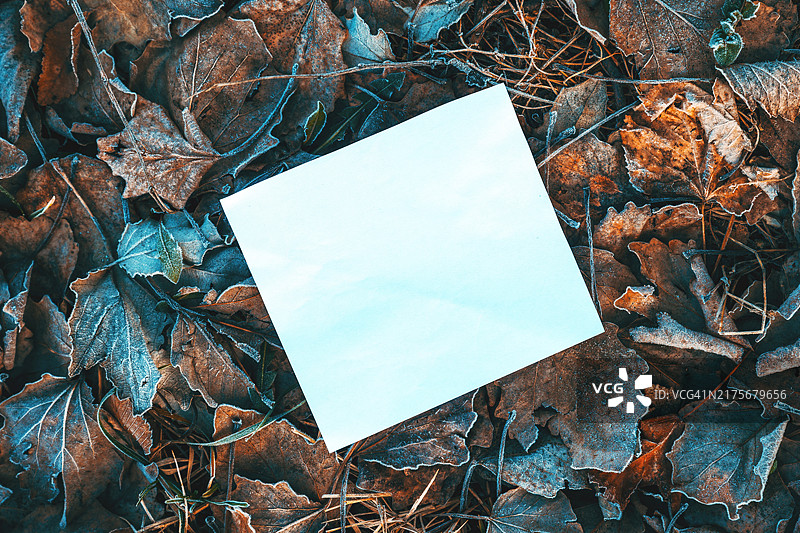 冬季覆盖着干草和树叶的寒冷霜冻地面上的空白留言纸条图片素材