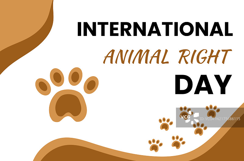 国际动物权利日图片素材
