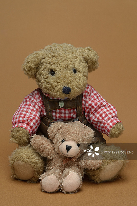 两只坐在棕色背景前的泰迪熊图片素材
