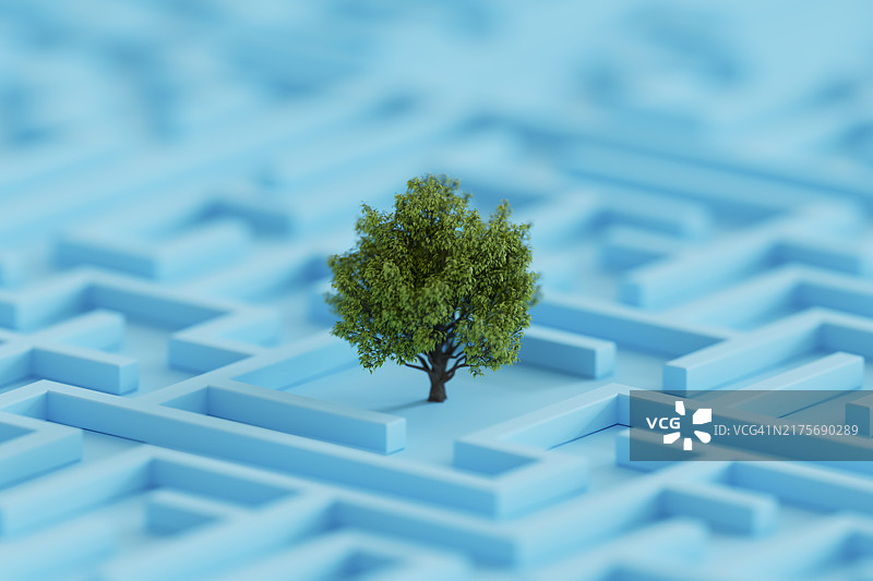 迷宫上的树木，可持续发展概念图片素材