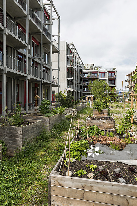 现代建筑：巴塞尔埃伦马特合作社住宅（瑞士巴塞尔城市州）图片素材