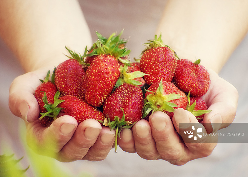 女子手捧草莓的腰部特写图片素材