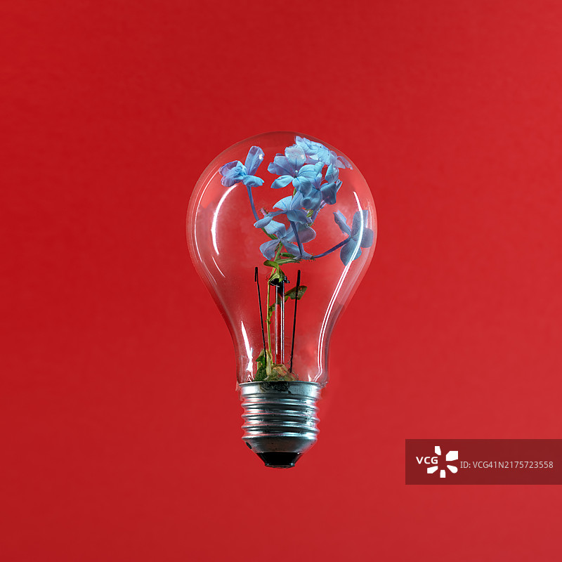 蓝色背景下的灯泡特写图片素材