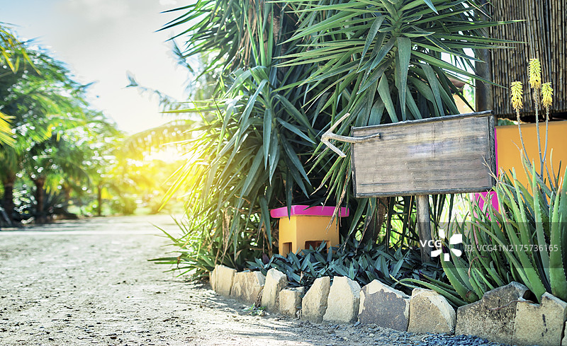 花园里的木制标牌图片素材