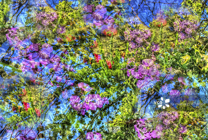 创意艺术风格紫色花卉图案，德国图片素材