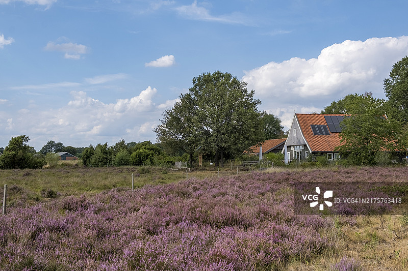 荷兰哈克斯贝bergen的布尔瑟赞德自然保护区和瓦克尔信息中心图片素材