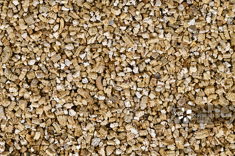 去角质蛭石特写，一种用于植物无土栽培的水合矿物图片素材