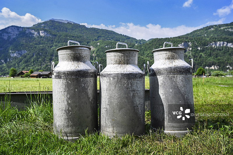 草地与山脉前的牛奶罐图片素材