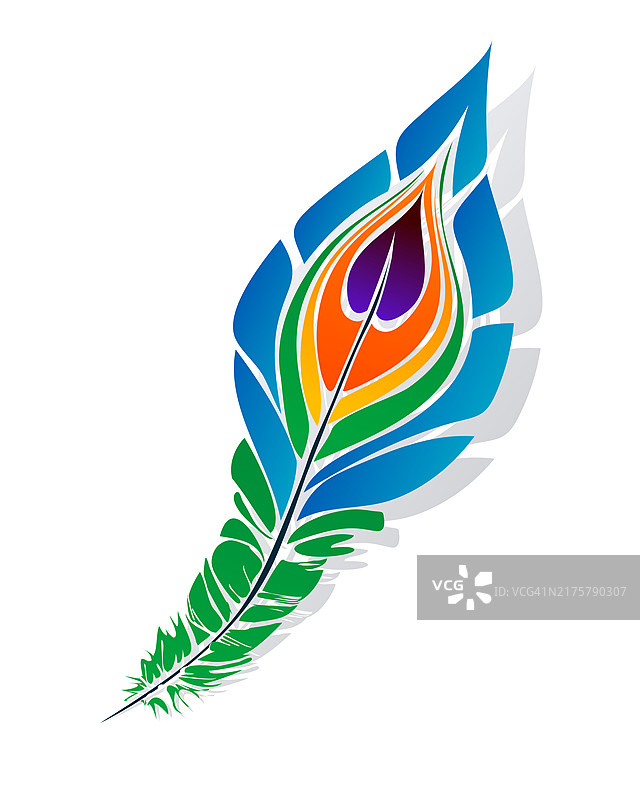 风格化孔雀羽毛图片素材