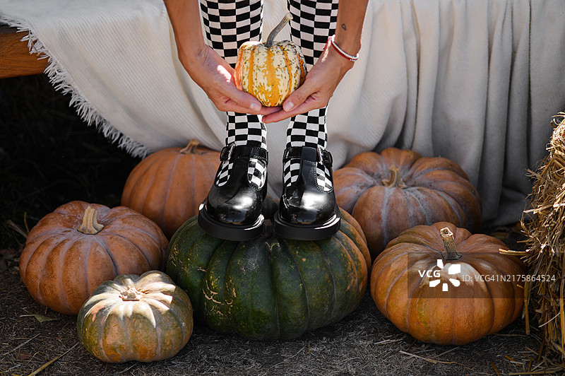 秋季：毛毯的舒适背景增添了温暖感，非常适合展示季节性时尚或节日美学。是展示古怪、时尚的秋季造型或以收获为主题的场景的理想选择。图片素材