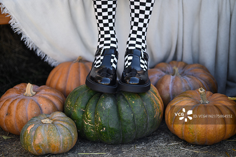 秋季：毛毯的舒适背景增添了温暖感，非常适合展示季节性时尚或节日美学。是展示古怪、时尚的秋季造型或以收获为主题的场景的理想选择。图片素材