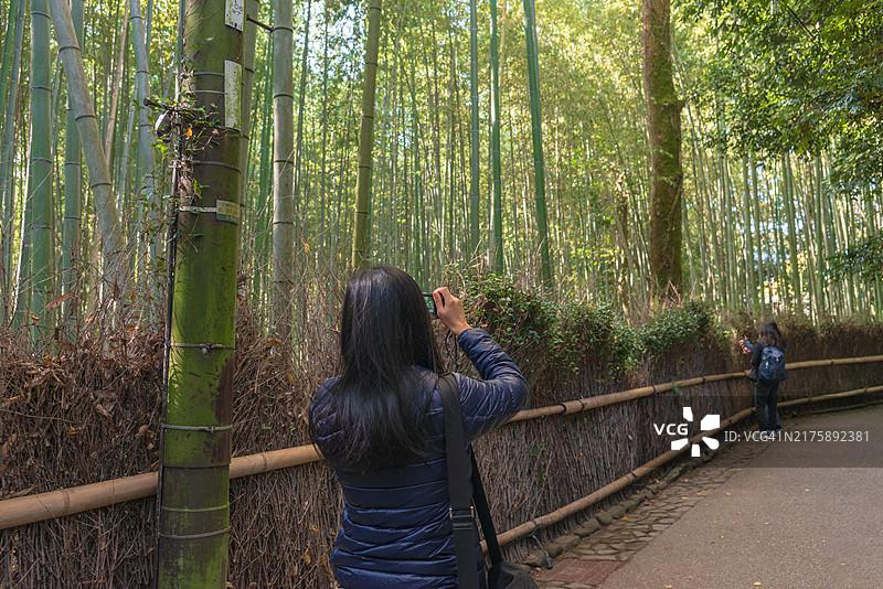 日本京都嵐山竹林周围的美丽风景，五彩斑斓的竹子。图片素材