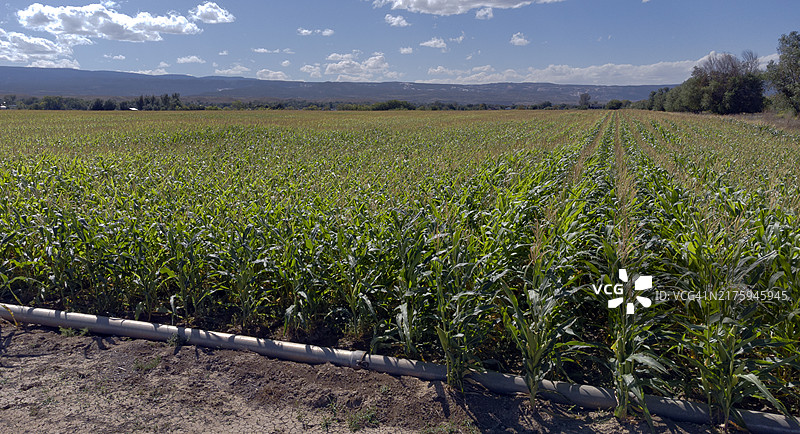 科罗拉多州农业图片素材