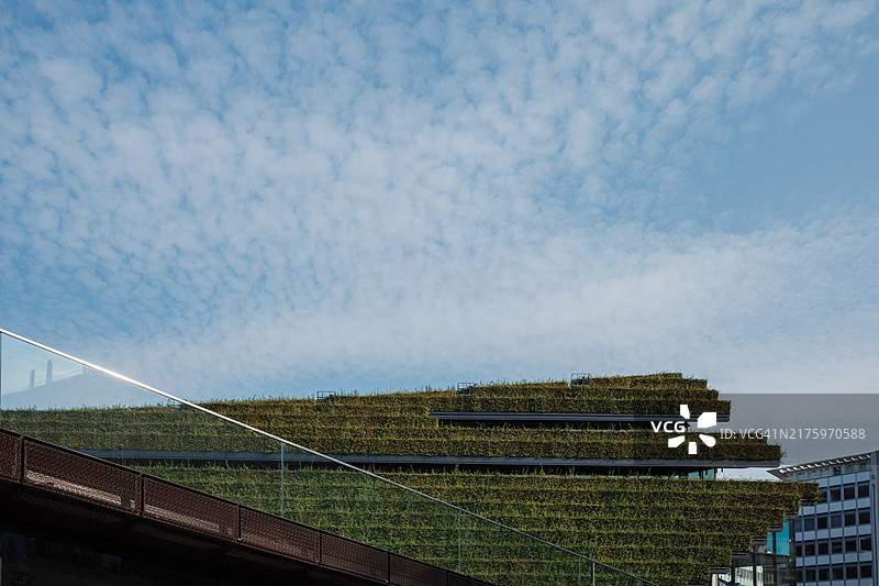 覆盖建筑物和玻璃栏杆的绿色可持续立面植物墙细节图片素材