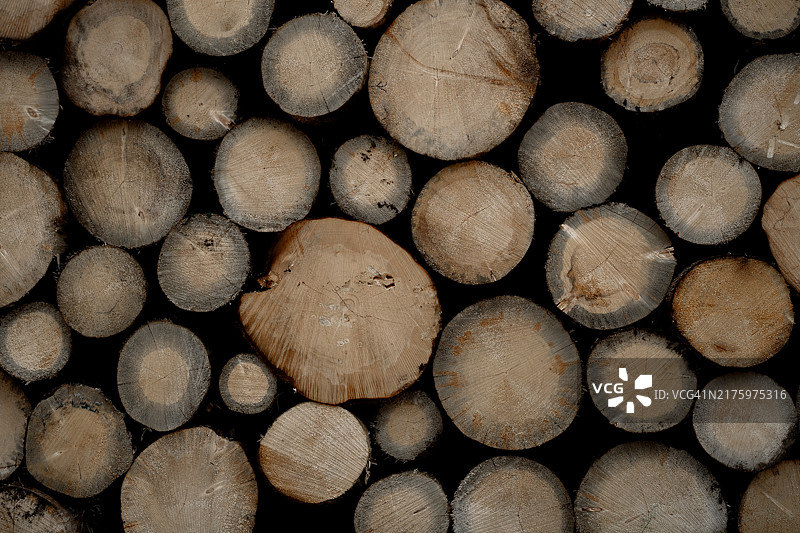 木头脑袋图片素材