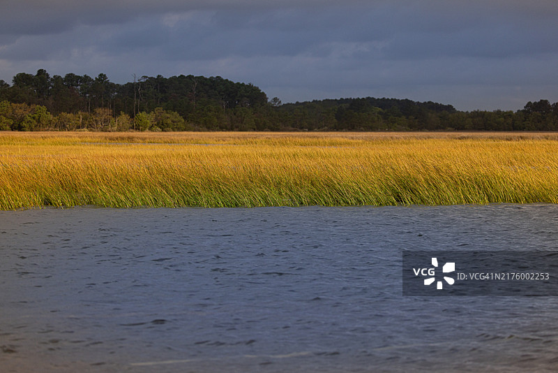 切萨皮克湾的广阔盐沼图片素材