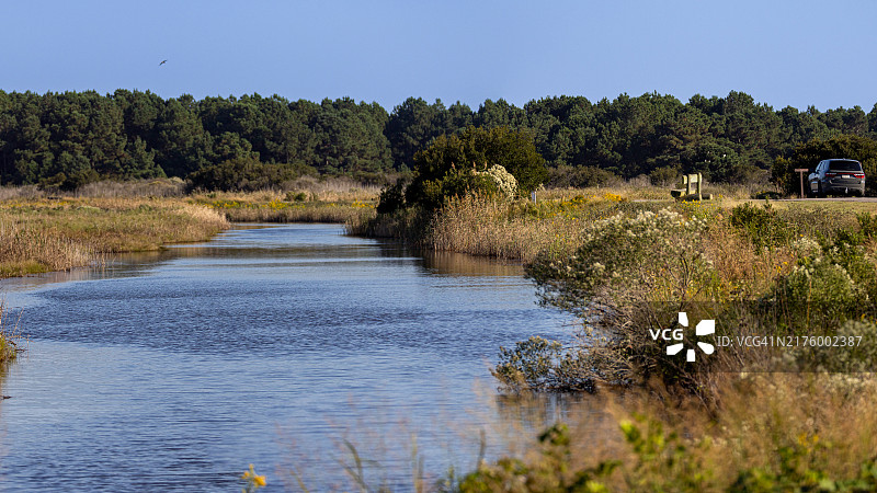 辛科特格国家野生动物保护区的风景湿地小径图片素材