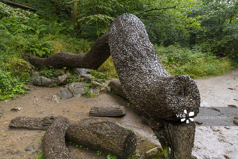 摇钱树，英格尔顿瀑布步道，北约克郡，英国图片素材