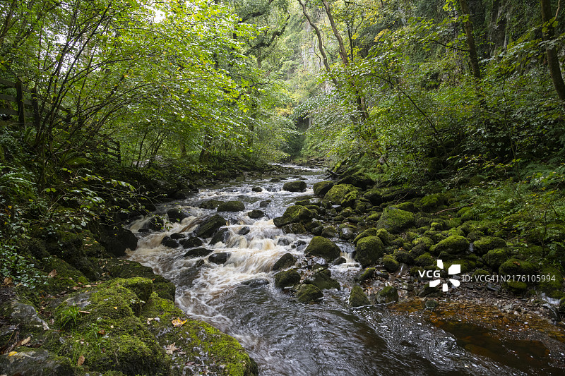 英格兰北约克郡因格尔顿瀑布步道图片素材