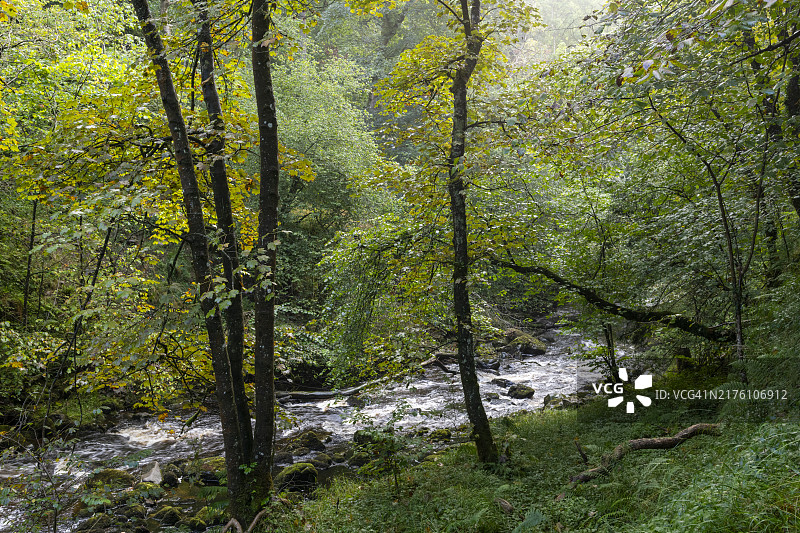 英格兰北约克郡因格尔顿瀑布步道图片素材