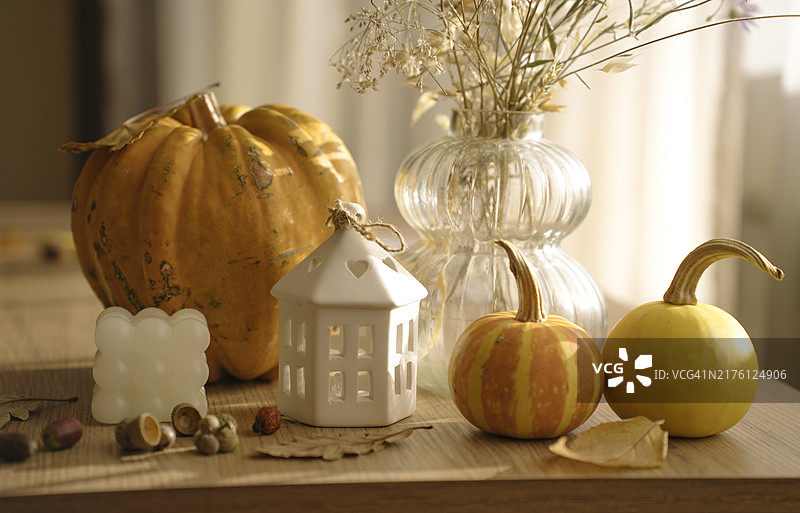 明媚阳光下木桌上的橙黄色秋季南瓜和干花瓶，秋季家居装饰图片素材