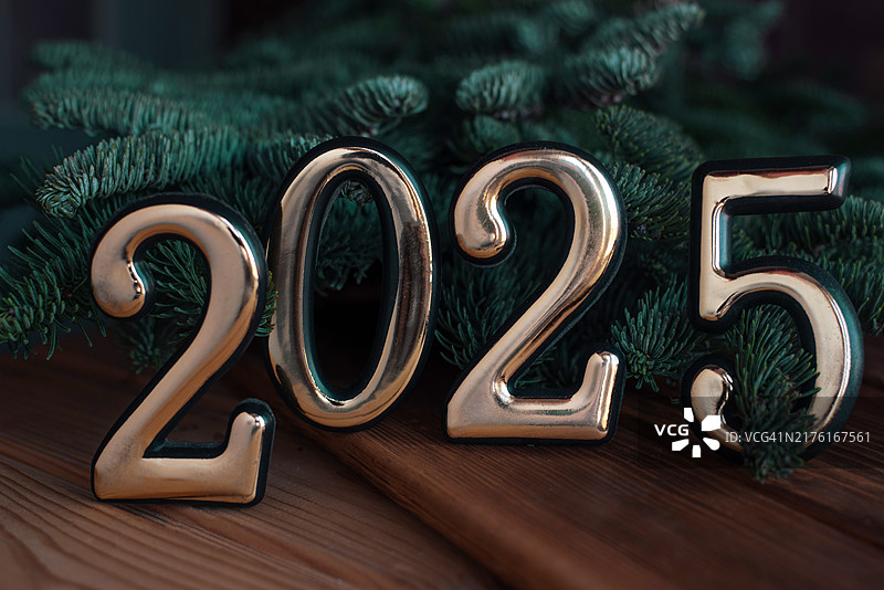 2025年新年圣诞节假日：带有圣诞树枝的纯色背景上的2025新年数字图片素材
