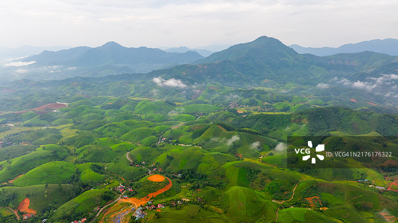 越南富寿省龙 cốc 茶山航拍景色，美丽的绿色茶园，自然风光背景。图片素材