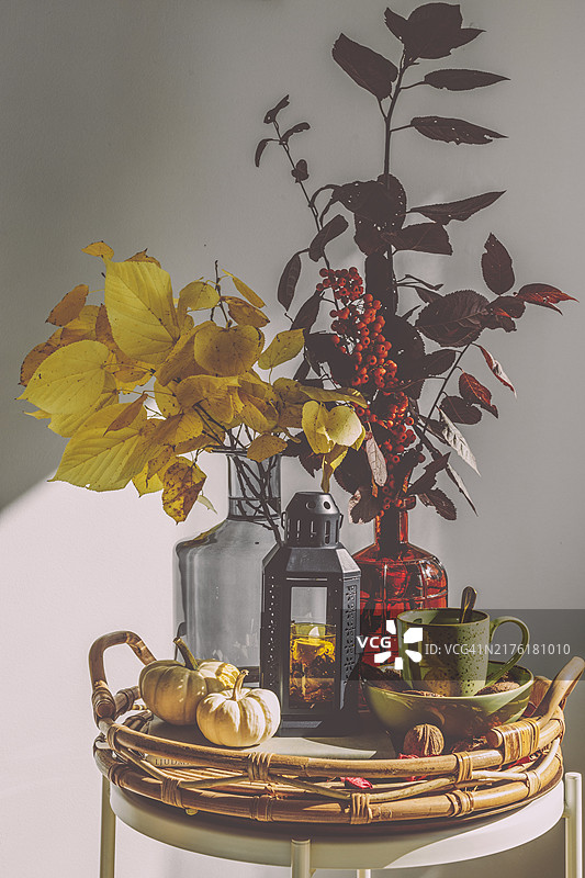 花卉插花图片素材