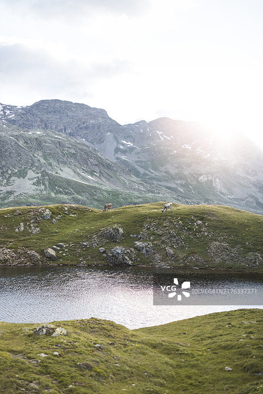 恩嘎丁·圣莫里茨阿尔卑斯山图片素材