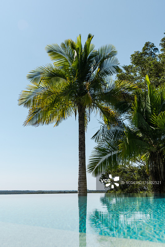 宁静的画面，展示了一棵棕榈树旁边的水池，拍摄于阳光明媚的澳大利亚新南威尔士州拜伦湾。图片素材