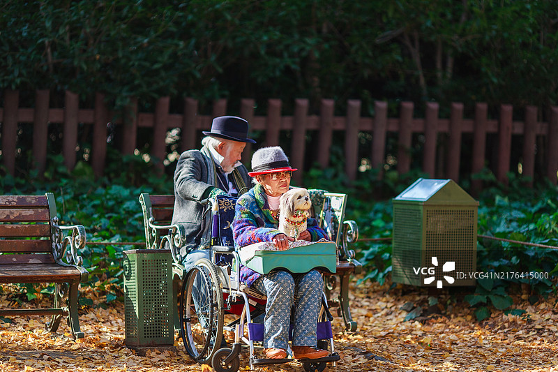 秋日东京景色图片素材