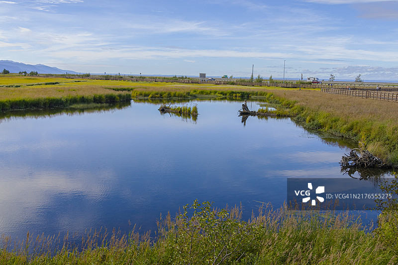 波特斯沼泽——安克雷奇沿海野生动物保护区图片素材