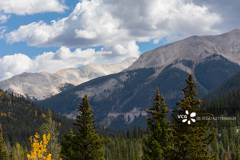 科罗拉多州秋季的彩色秋叶落基山峰图片素材