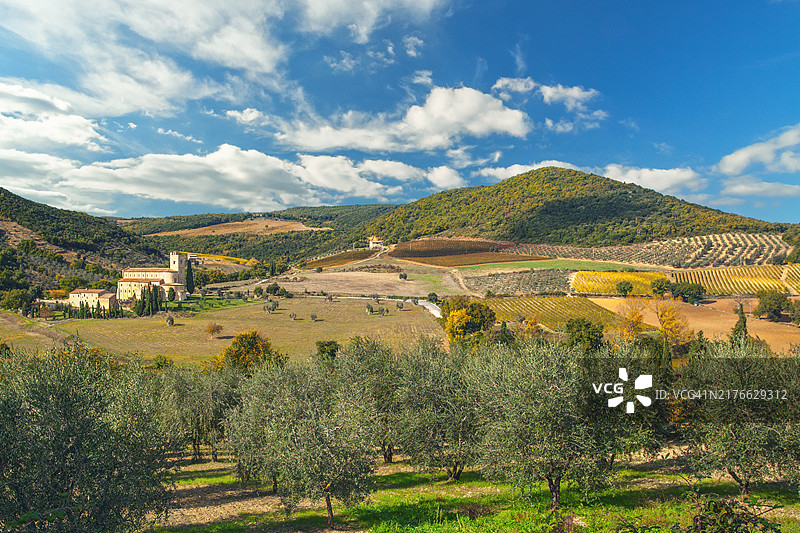 托斯卡纳圣安蒂莫修道院与意大利乡村橄榄树图片素材