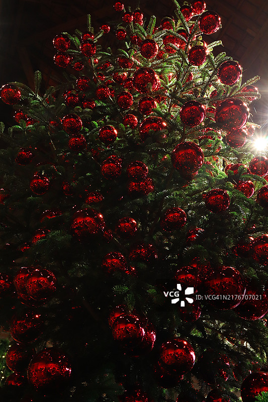 高大的圣诞树上挂着红色的球饰图片素材