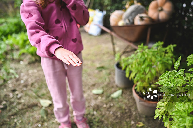 手拿瓢虫的儿童图片素材