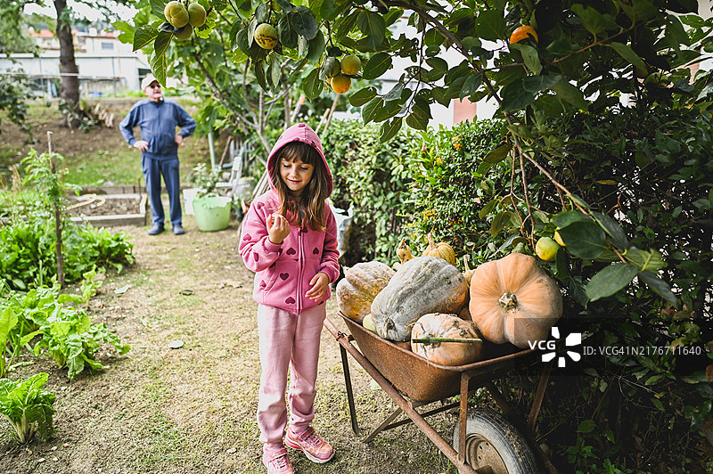 后院花园里的十月图片素材