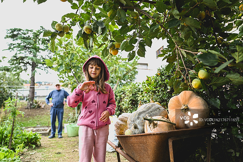 在后院探索自然的家庭图片素材