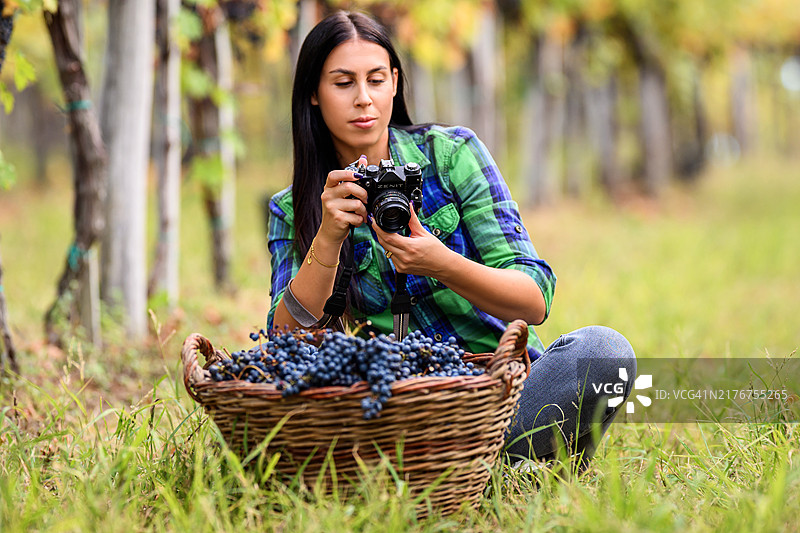 在葡萄园里用模拟相机拍摄的美丽女摄影师图片素材