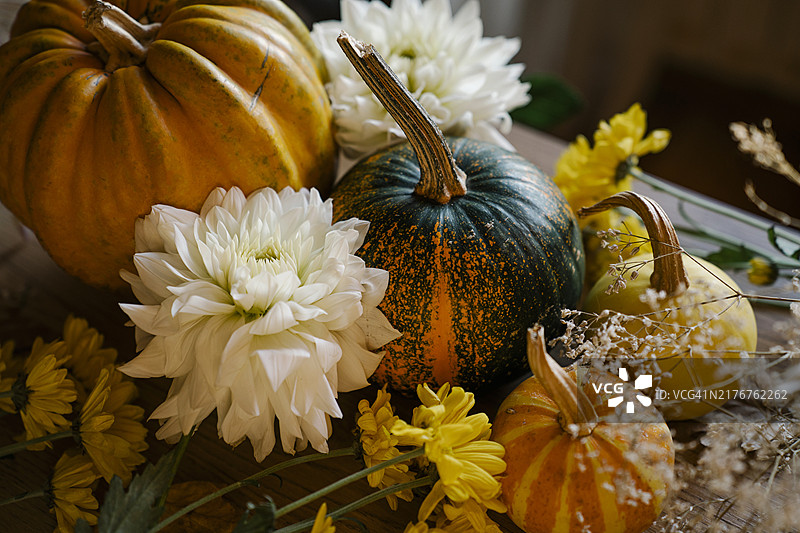 秋季装饰：大丽花、菊花和彩色南瓜图片素材
