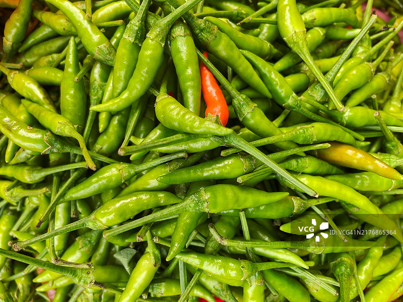 小青辣椒图片素材