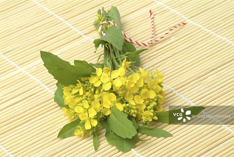 黑芥菜（Brassica nigra），十字花科芸苔属的植物，被广泛用作药用和有用的植物，或黑芥菜，是一种一年生植物，因其黑色或深棕色的种子而种植，这些种子通常图片素材