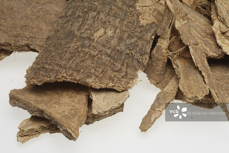 臭椿树皮，中药药用植物图片素材